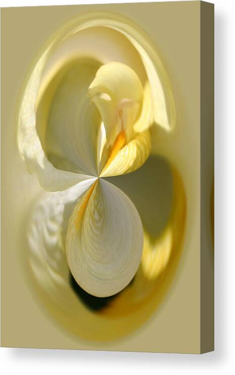 Flowers Canvas Print featuring the photograph Yellow Iris Series 105 by Jim Baker