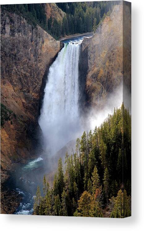 Lower Yellowstone Falls Canvas Print featuring the photograph Lower Yellowstone Falls by Athena Mckinzie