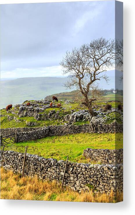Yorkshire Canvas Print featuring the photograph Yorkshire Dales by Sue Leonard