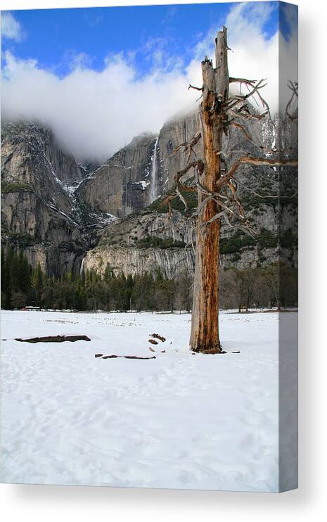 Yosemite Canvas Print featuring the photograph Yosemite in the Dead of Winter by Her Arts Desire