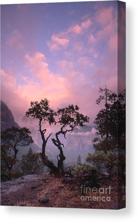 Scenic Canvas Print featuring the photograph Yosemite National Park by George Ranalli