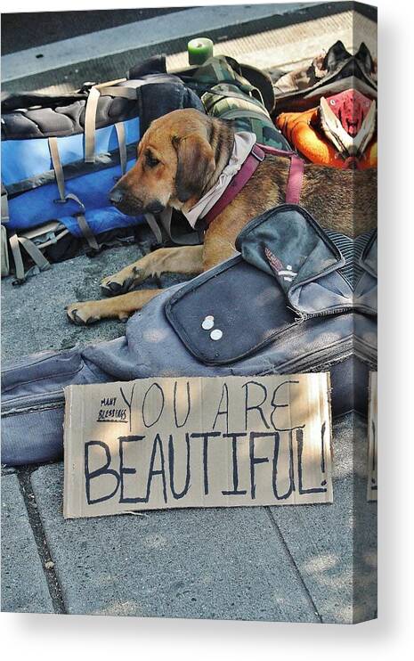 Homeless Canvas Print featuring the photograph You Are Beautiful by William Rockwell