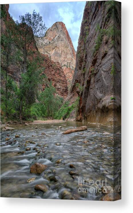 Virgin Canvas Print featuring the photograph Zion Narrows by Eddie Yerkish
