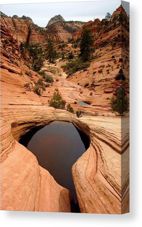 Daniel Woodrum Canvas Print featuring the photograph Zion's Many Pools Trail by Daniel Woodrum