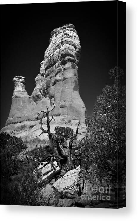 Arches National Park Canvas Print featuring the photograph Arches National Park BW #1 by Larry Carr