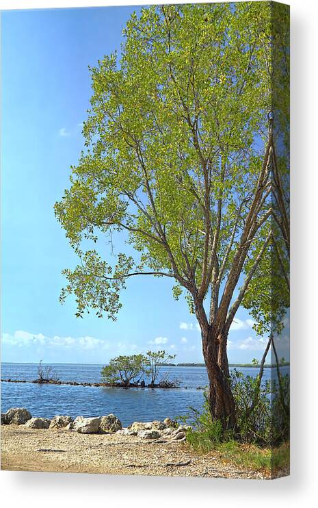 Beautiful Canvas Print featuring the photograph Biscayne National Park-1 by Rudy Umans