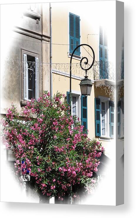 Flowers Canvas Print featuring the photograph Corsica 16 #1 by Allan Rothman