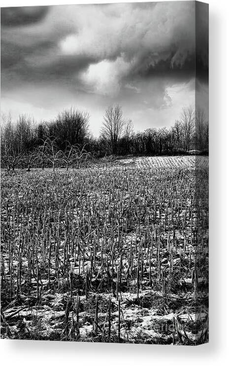 Alone Canvas Print featuring the photograph Crop field in early winter after first snow #1 by Sandra Cunningham