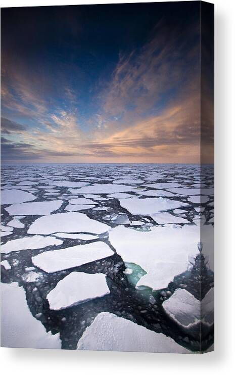 00427975 Canvas Print featuring the photograph Ice Floes At Sunset Near Mertz Glacier #1 by Colin Monteath