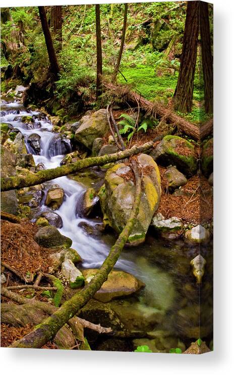  Canvas Print featuring the photograph Little creek #1 by Gary Brandes