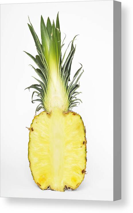 Pineapple Canvas Print featuring the photograph Pineapple Ananas comosus #2 by Matthias Hauser