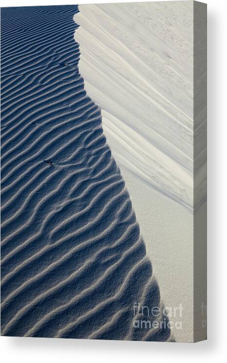 Desert Photography Canvas Print featuring the photograph White Sands #2 by Keith Kapple
