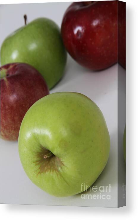 Agriculture Canvas Print featuring the photograph Apples #2 by Photo Researchers, Inc.