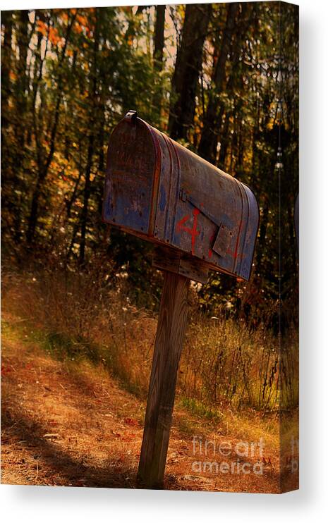 Mailbox Canvas Print featuring the photograph 4 Anystreet USA by Brenda Giasson