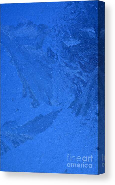 Frost Canvas Print featuring the photograph Frost on a Windowpane #7 by Thomas R Fletcher