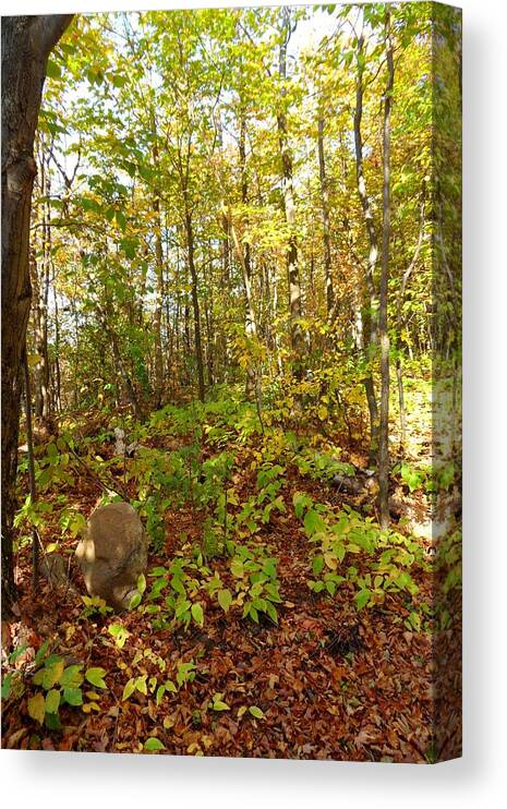 Mother Nature Canvas Print featuring the photograph A Beautiful Pee Spot by Cyryn Fyrcyd