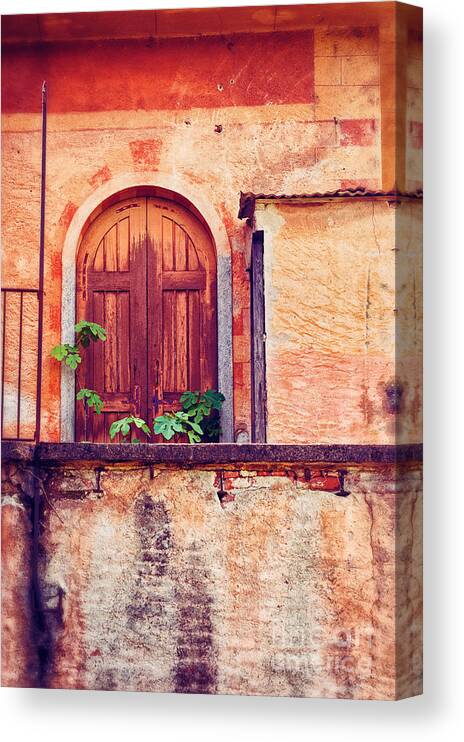Door Canvas Print featuring the photograph Abandoned building door with leaves by Silvia Ganora