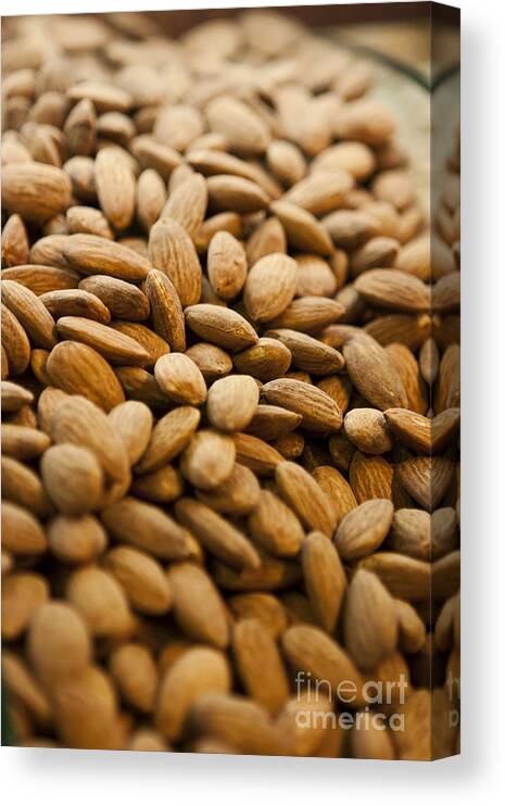 Almond Canvas Print featuring the photograph Almonds by Leslie Leda