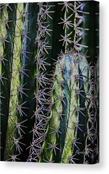 Cactus Canvas Print featuring the photograph Armored by Cheri Randolph
