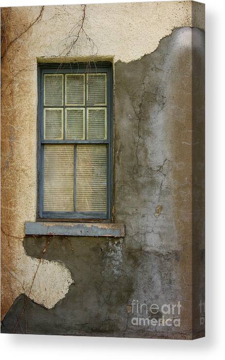 Photograph Canvas Print featuring the photograph Art of Decay by Vicki Pelham