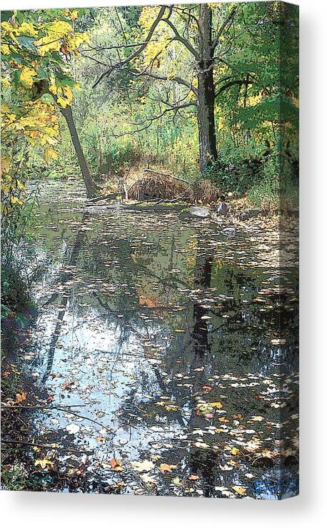 Vale Canvas Print featuring the photograph Autumn Vale by Jon Lord