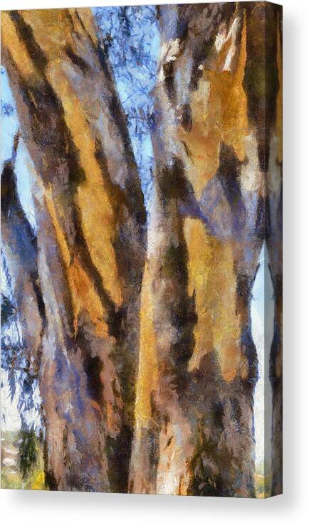 Bark Canvas Print featuring the digital art Bark by Roberto Gagliardi