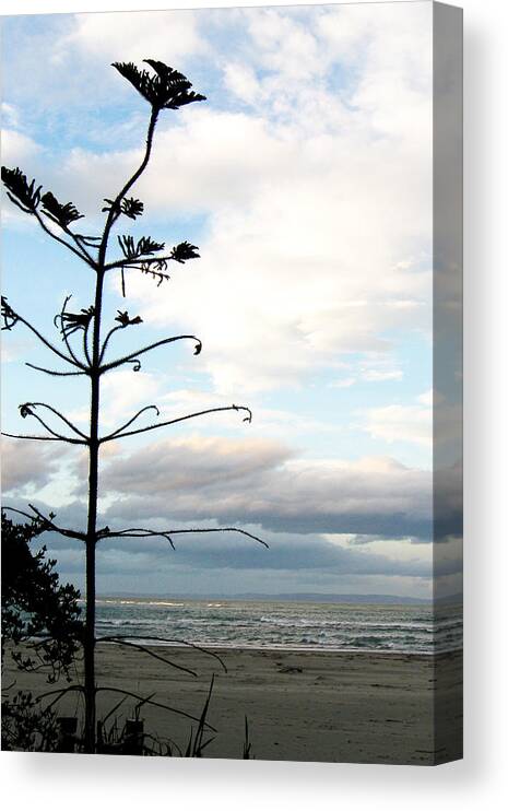 Sumner Beach Canvas Print featuring the photograph Beach View by Roseanne Jones