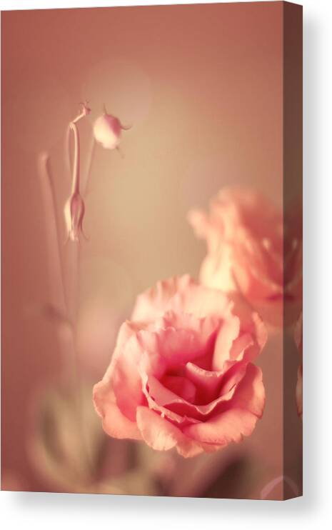 Vintage Canvas Print featuring the photograph Beautiful peach vintage flowers by Ethiriel Photography