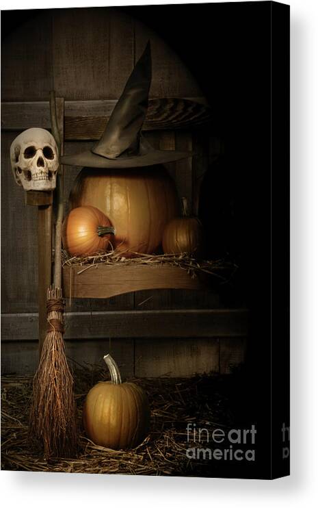 Agriculture Canvas Print featuring the photograph Big pumpkin with black witch hat and broom by Sandra Cunningham