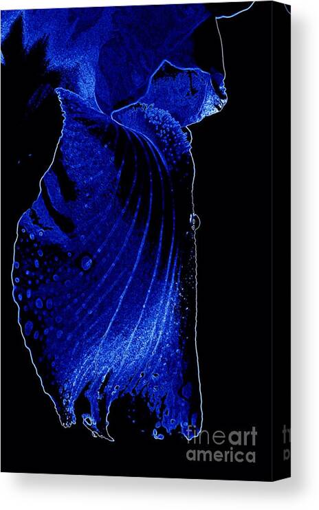 Flower Canvas Print featuring the photograph Blue Iris by Sylvie Leandre