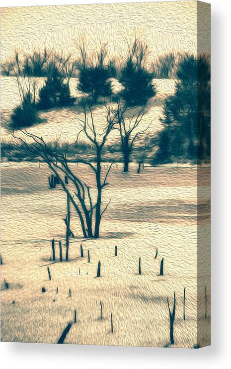 Cold Canvas Print featuring the photograph Branched Reprieve by Bill and Linda Tiepelman