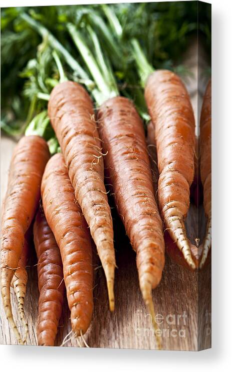 Carrots Canvas Print featuring the photograph Carrots by Elena Elisseeva