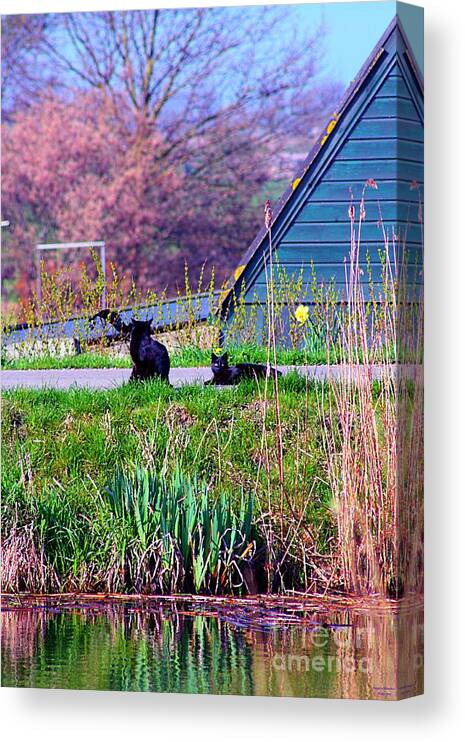Cats Canvas Print featuring the mixed media Cats at the canal by Rogerio Mariani