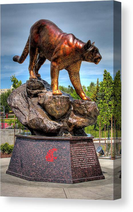 Washington State University Canvas Print featuring the photograph Cougar Pride II by David Patterson