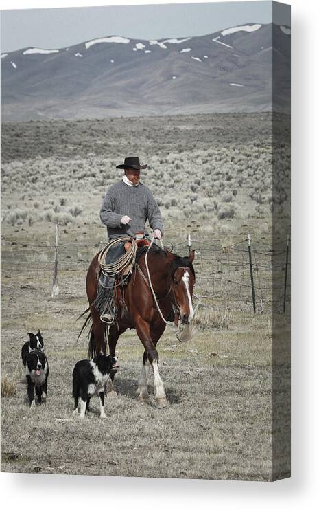 Wine Cup Ranch Canvas Print featuring the photograph Cowboys Companion by Diane Bohna