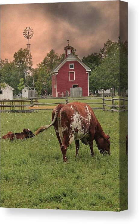 Hovind Canvas Print featuring the photograph Dairy Farm by Scott Hovind