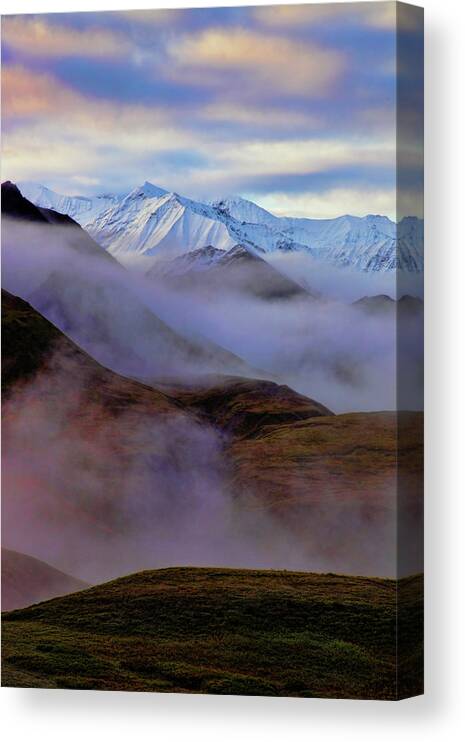 Denali National Park Canvas Print featuring the photograph Denali Dawn II by Rick Berk