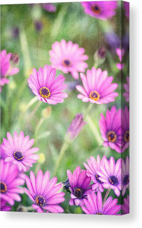 Floral Canvas Print featuring the photograph Easter Basket by Joel Olives