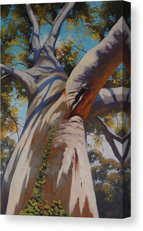 Gum Tree Canvas Print featuring the painting Eucalyptus Portrait by Graham Gercken