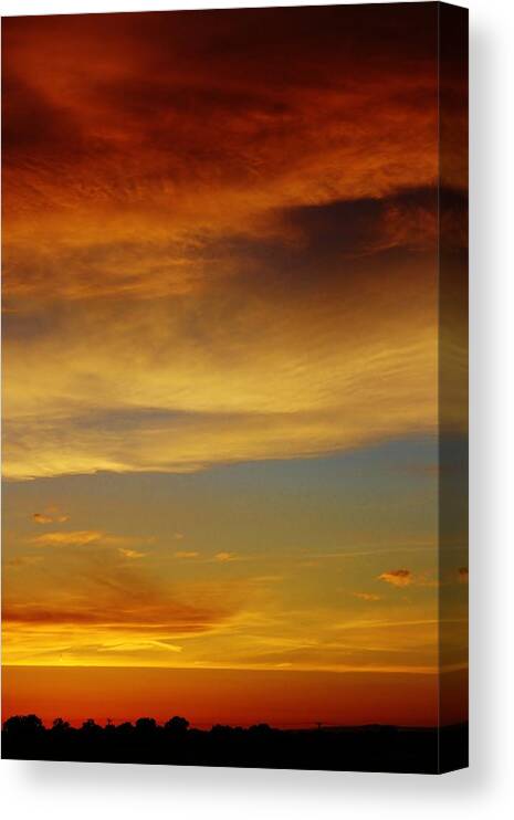 Trees Canvas Print featuring the photograph Evening Sunset by Bruce Bley