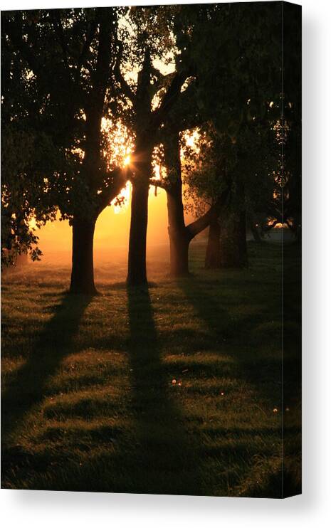 Fall Canvas Print featuring the photograph Fall Sunset by Ellery Russell
