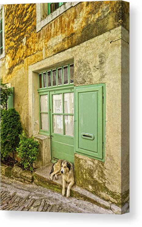 Dog Canvas Print featuring the photograph Famille de attente dans Gordes by Fred J Lord