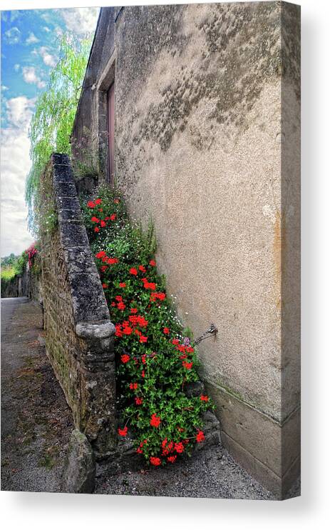Flowers Canvas Print featuring the photograph Flower Stairway by Dave Mills