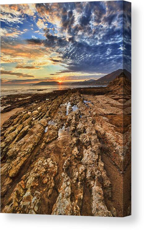 Shell Beach Canvas Print featuring the photograph Forever by Beth Sargent