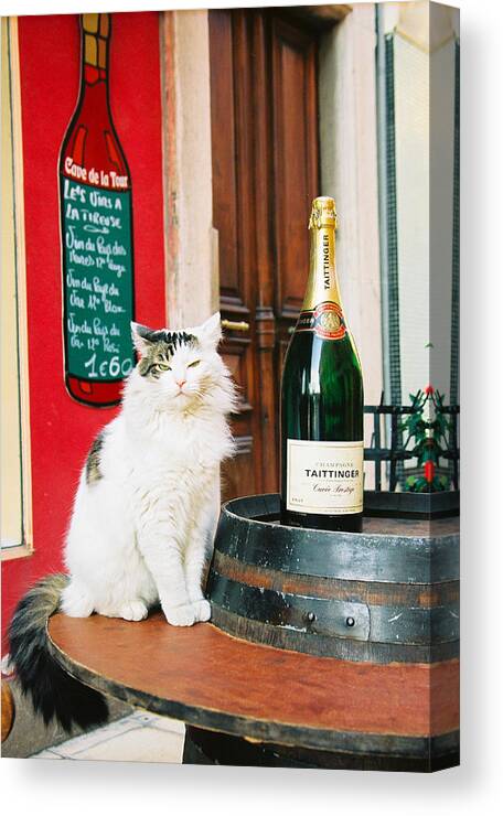 France Canvas Print featuring the photograph Champagne Cat by Claude Taylor