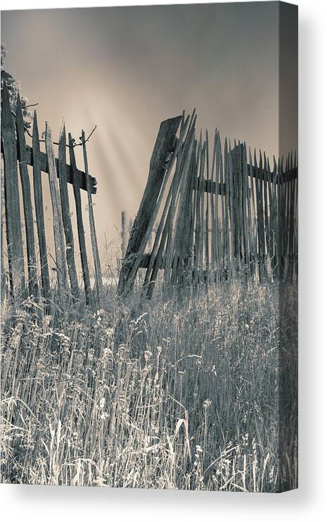 Toned Print Canvas Print featuring the photograph Freedom by Mary Almond