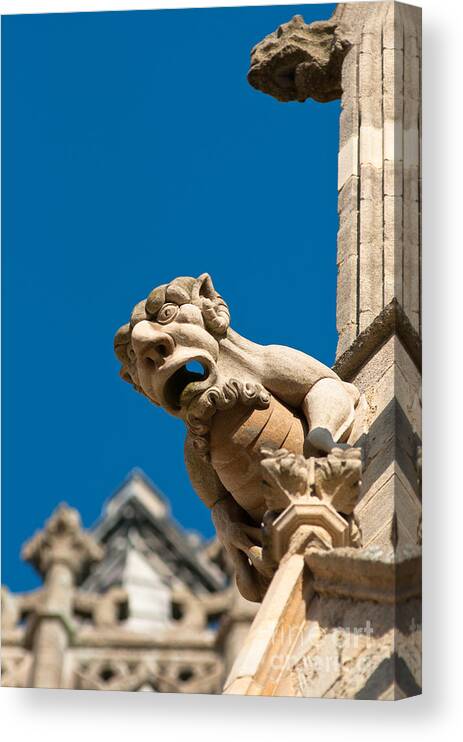 Above Canvas Print featuring the photograph Gargoyle by Andrew Michael