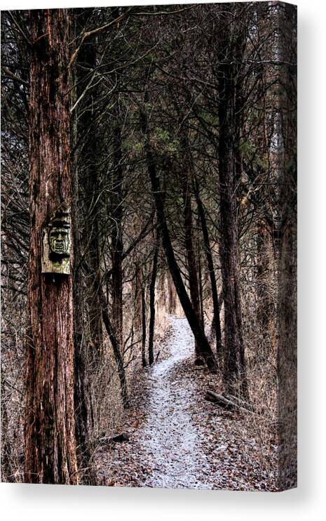 Forest Canvas Print featuring the photograph Gently Into The Forest My Friend by Marie Jamieson