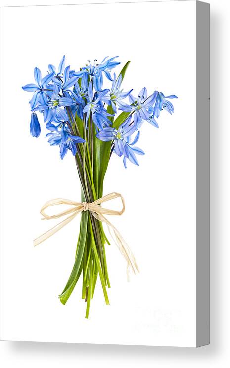 Bouquet Canvas Print featuring the photograph Blue wildflower bouquet by Elena Elisseeva