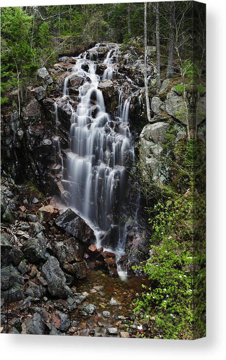 Hadlock Falls Canvas Print featuring the photograph Hadlock Falls Acadia by Rick Berk